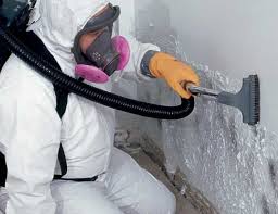 Beverly Hills, CA Mold Inspection Company